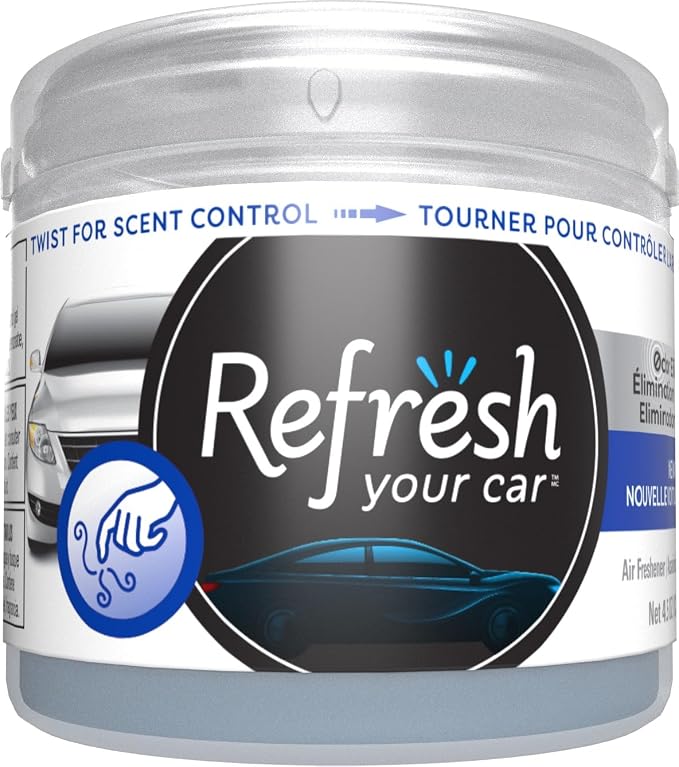 Can/Hidden Air Freshener, (New Car Scent, 1 Pack)