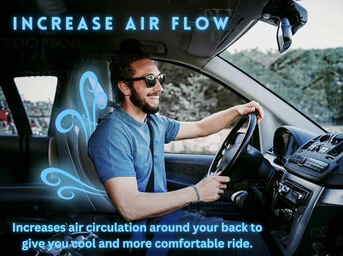 Cooling Car Seat Cover- Premium Quality Black Comfortable 12V Cooling Car Seat Cushion- Breathable Adjustable Temperature Cooling Cushion for Car, Van, Home (1 Pack)