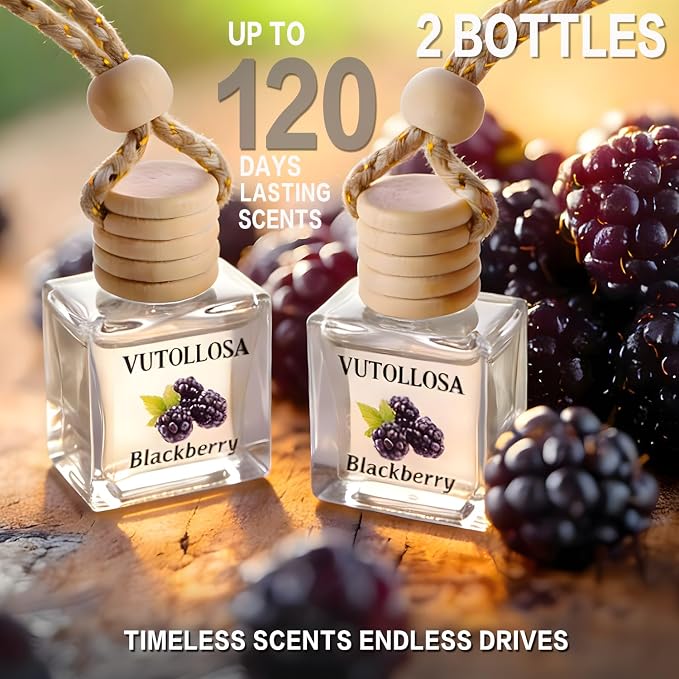 2-Pack Car Air Fresheners, Car Deodorizer, Blackberry Scented Air Freshener Long Lasting Hanging Car Air Freshener for Men and Women, Car Scent Diffuser by