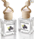 2-Pack Car Air Fresheners, Car Deodorizer, Blackberry Scented Air Freshener Long Lasting Hanging Car Air Freshener for Men and Women, Car Scent Diffuser by