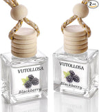 2-Pack Car Air Fresheners, Car Deodorizer, Blackberry Scented Air Freshener Long Lasting Hanging Car Air Freshener for Men and Women, Car Scent Diffuser by