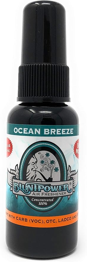(Ocean Breeze, 1 Pack) Concentrated Air Freshener for Room and Car Spray - Oil-Based Diffuser Spray Bottle - Long-Lasting Bathroom Spray, Car Freshener, & Odor Eliminator Spray