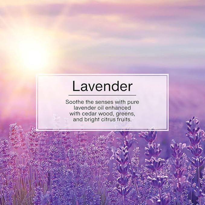 Air Fresheners Car Air Freshener. Hanging Tree Provides Long Lasting Scent for Auto or Home. Lavender, 24 Airs Fresheners (Pack of 6)