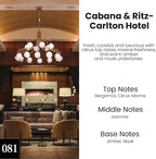 Car Air Freshener Hanging 2 Pack - Hotel Collection Diffuser Oil Inspired by Cabane & Rltz. CarIton Hotel - NO.1012 Fragrance Oil, Car Fresheners for Women Made in USA (081)