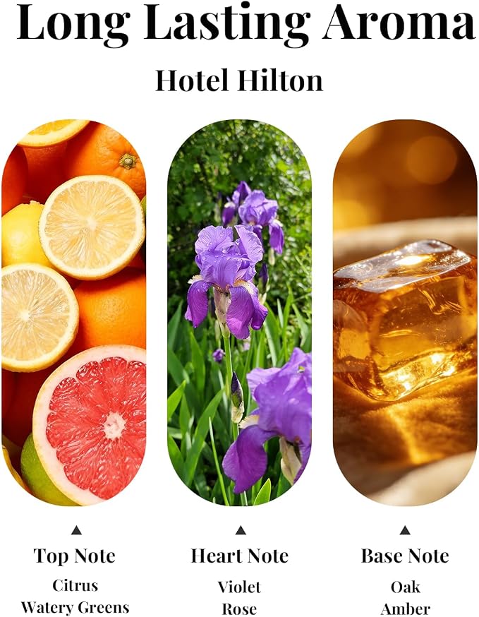 Car Air Fresheners, Inspired by Hilton Hotel, 2 Packs | Hanging Car Aroma Diffuser, Rearview Mirror Accessory