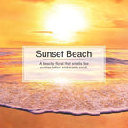 Car Air Freshener 6-Pack (Sunset Beach)