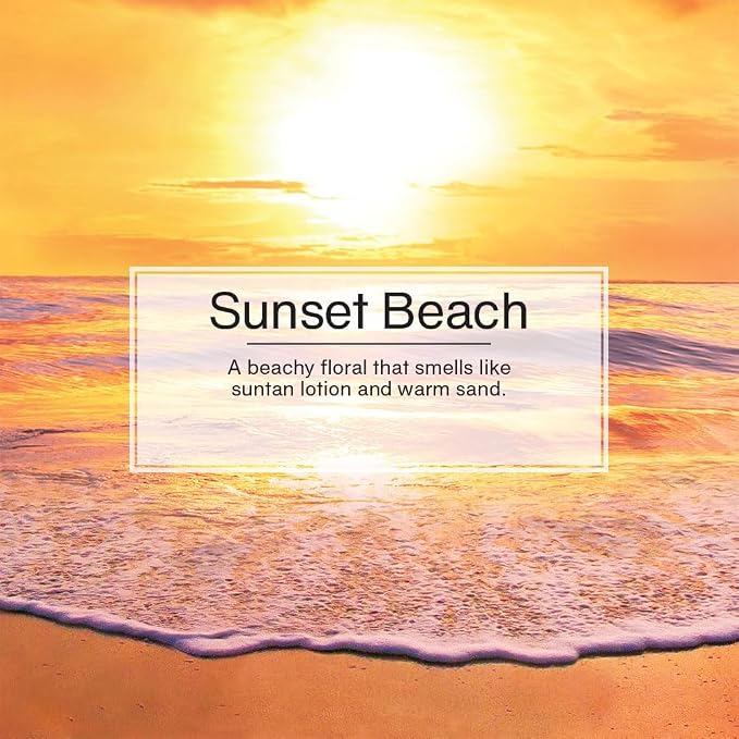 Car Air Freshener 6-Pack (Sunset Beach)