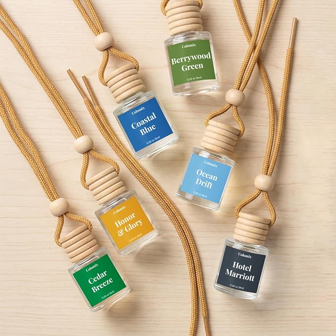 Car Air Fresheners, Hanging Car Odor Eliminator-Berrywood Green | Natural Car Odor Eliminator, Compact & IFRA Approved