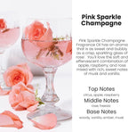 Car Air Freshener Diffuser 2 Pack Hanging Air Freshener Diffuser - Pink Sparkle Champagne Fragrance Oil Air Diffuse r for Car, 45+ Days Long Lasting Fragrance Made in USA (P38)