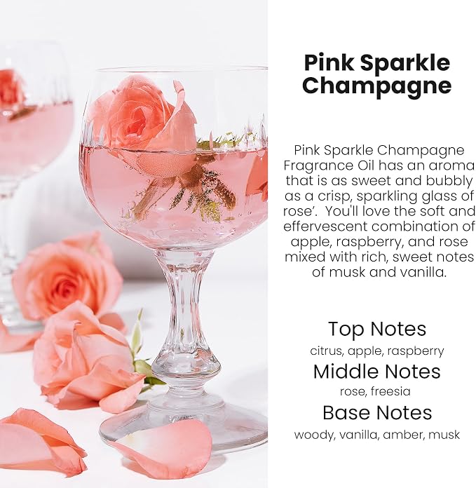 Car Air Freshener Diffuser 2 Pack Hanging Air Freshener Diffuser - Pink Sparkle Champagne Fragrance Oil Air Diffuse r for Car, 45+ Days Long Lasting Fragrance Made in USA (P38)