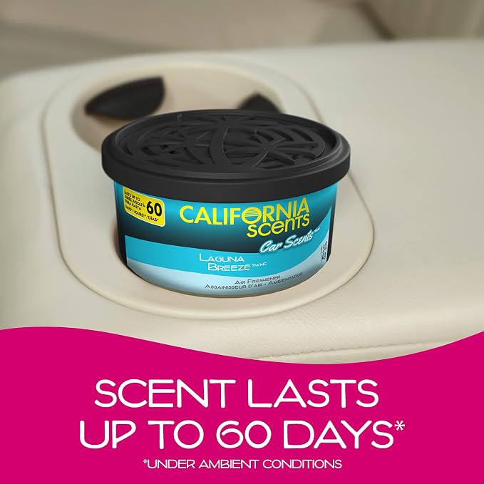 Car Air Freshener, Assorted Car Scents - 1.5 OZ (12 Count)