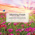 Car Air Freshener | Hanging Paper Tree for Home or Car | Morning Fresh | 3 Pack