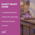AER Power Pocket Berry Rush Solid Gel Air Freshener for the Entire Home with Long Lasting Scent, Pack of 1