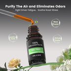 2pcs Car Air Freshener Diffuser Vent Clips, Premium Gift Set with 5 Different Essential Oil (0.34oz Each) & 12 Refill Sticks, Car Diffuser Packaging for Office, Kitchen, Bathroom