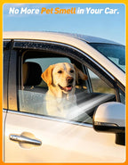 Extra-Thick Window Rain Guard for Dodge Ram 1500 2002-2008 Quad Cab&2500/3500 2003-2009 Extended Cab Rain Guards Side Window Visors Truck Vent Visor Window Deflectors Vent Shades
