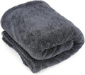 1200GSM Microfiber Car Drying Towel, Double-Twist Loop, Ultra-Absorbent, Quick-Dry, Lint- & Streak-Free, Scratch-Safe, for Car Wash & Detailing (1 Pack) (Dark Grey, 16" x 16")