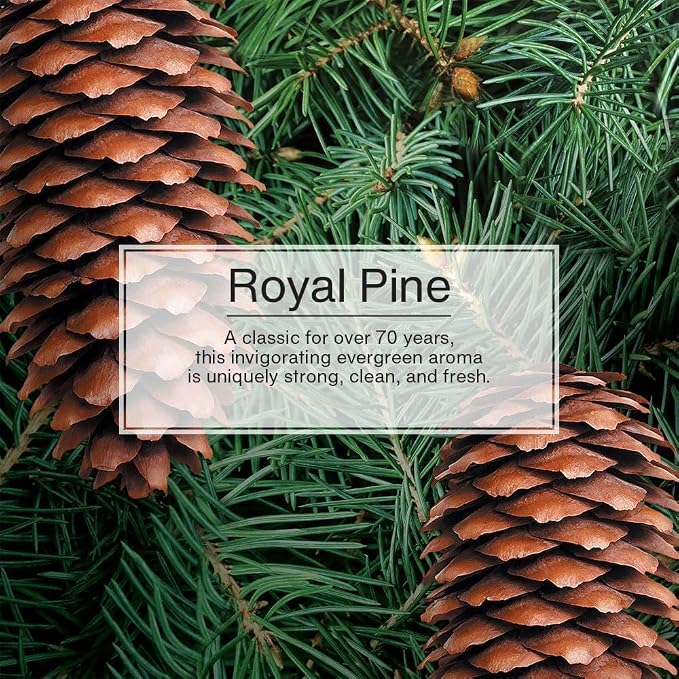 Car Air Freshener | Hanging Paper Tree for Home or Car | Royal Pine | 3 Pack