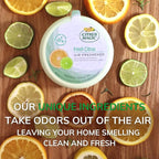 Odor Absorbing Solid Air Freshener, Fresh Citrus, 8-Ounce, (Pack of 3)