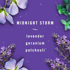 AUTO Air Freshener, Odor-Fighting Automotive Vent Clip, Midnight Storm Scent, 8 Count