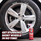 Car Detailing Kit, Car Cleaning Kit with Total Interior Cleaner & Protectant, Sprayable Wheel Cleaner, Car Wash Soap, Bucket, Brushes, and Detailing Accessories - 17 Piece Wash Kit