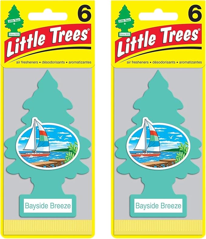 Cardboard Hanging Car, Home & Office Air Freshener, Bayside Breeze (Pack of 12)