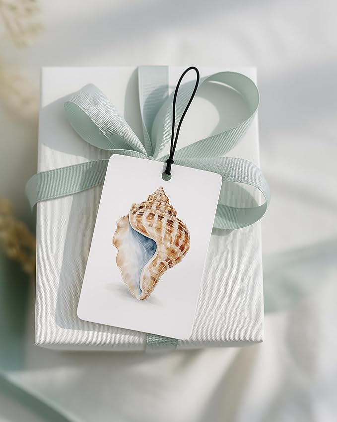Coastal Beach Car Air Freshener 4 Pcs Coconut Scented, Ocean Starfish Conch Seashell Coral Car Accessories Mirror Decor for Women, Beach Hanging Air Freshener for Cars Closet Drawer Books