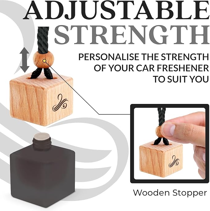Greed Car Air Freshener for Men | Perfume Inspired Fragrances | Strong Car Freshener with Odor Eliminator Technology | Air Freshener | Long Lasting Automotive Freshener by