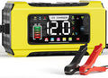 Automatic Car Battery Charger–12V 0-6A Adjustable Smart Trickle Charger with Battery Repair,Automatic Desulfation,Temperature Compensation Functions,Suitable for AGM,Gel,Deep Cycle,Lead-Acid Batteries