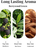 Car Air Fresheners, Hanging Car Odor Eliminator-Berrywood Green | Natural Car Odor Eliminator, Compact & IFRA Approved
