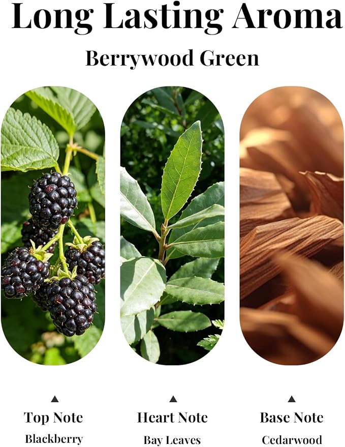 Car Air Fresheners, Hanging Car Odor Eliminator-Berrywood Green | Natural Car Odor Eliminator, Compact & IFRA Approved