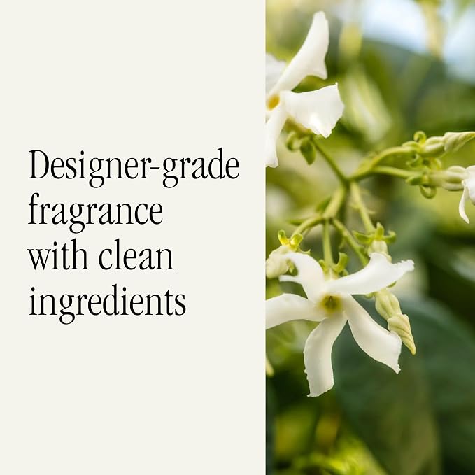 Car Scent Refill - Fragrance for Car Diffuser - Clean & Safe Luxury Diffuser Scent - Long-Lasting Fragrance for 30 Days of Aroma - White Tea No. 1