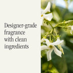 Car Scent Refill - Fragrance for Car Diffuser - Clean & Safe Luxury Diffuser Scent - Long-Lasting Fragrance for 30 Days of Aroma - White Tea No. 1