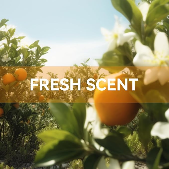 12 Packs Orange Scented Sachets - Fragrance for Closet, Drawer, Bathroom, Car - Air Freshener Deodorizer Packets