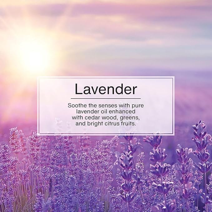 Hanging Car and Home Air Freshener, Lavender Scent, 3 Pack