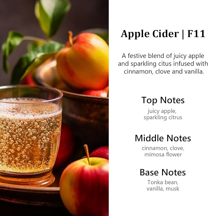 Car Air Freshener Diffuser 2 Pack Hanging Air Freshener Diffuser - Apple Cider Fragrance Oil Air D iffuser for Car, 45+ days Long Lasting Fragrance Made in USA （F11）