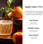 Car Air Freshener Diffuser 2 Pack Hanging Air Freshener Diffuser - Apple Cider Fragrance Oil Air D iffuser for Car, 45+ days Long Lasting Fragrance Made in USA （F11）