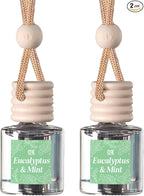 C&E Craft Co Hanging Car Air Freshener Diffuser 2 Pack, Long Lasting Fragrance Oil Car Freshener, Glass Bottle Auto Air Freshener, Made in USA (Eucalyptus & Mint)