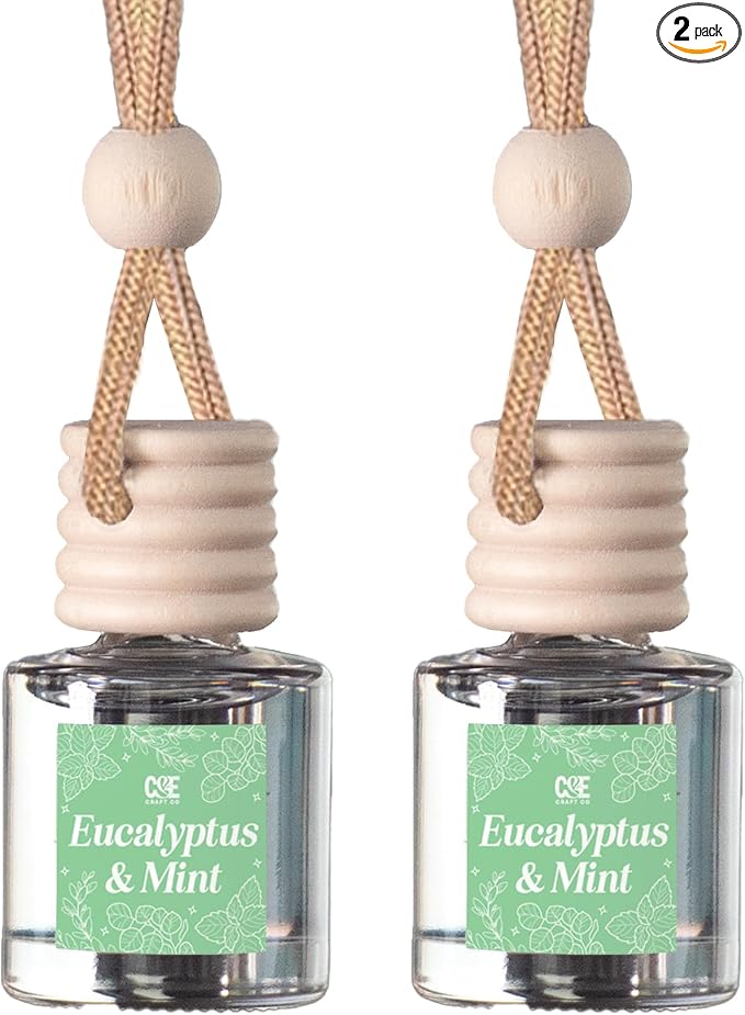 C&E Craft Co Hanging Car Air Freshener Diffuser 2 Pack, Long Lasting Fragrance Oil Car Freshener, Glass Bottle Auto Air Freshener, Made in USA (Eucalyptus & Mint)