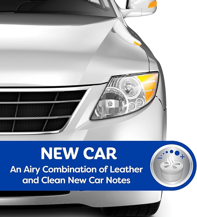 Can/Hidden Air Freshener, (New Car Scent, 1 Pack)