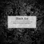 LittIe Trees Car Freshener, Black Ice Scent, 10-Pack