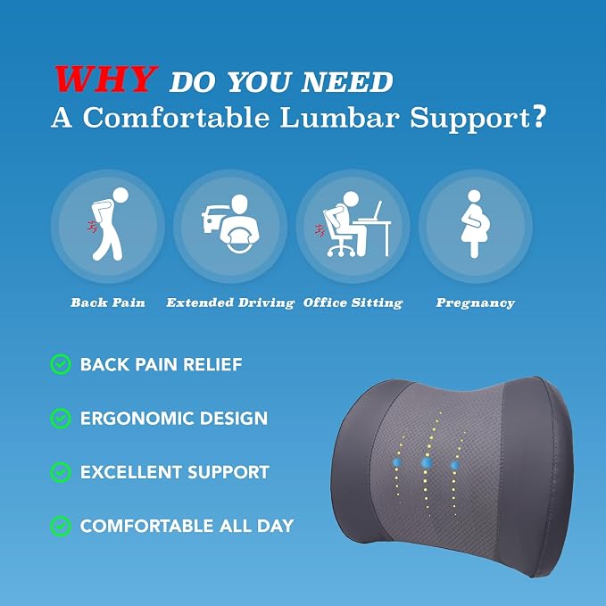 Lumbar Support Pillow for Car, Car Seat Back Support for Driving | Memory Foam Car Lumbar Support for Driving Seat, Car Back Cushion, Adjustable Straps, Lower Back Pillow, Dark Grey