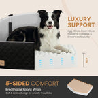 Dog Car Seat for Medium/Large Dogs, Memory Foam Dog Booster Seat with Thick Cushion up to 55 lbs or 2 Small Dogs, Travel Pet Car Seat with Detachable Washable Cover, 2 Safety Leashes (Black/Grey)