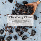 Car Air Freshener | Hanging Paper Tree for Home or Car | Blackberry Clove | Pack of 24