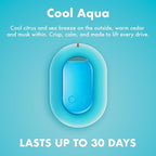 AER O Hanging Car Air Freshener Gel – Cool Breeze, Long Lasting 30 Days, Leak-Proof Odor Neutralizer, Rear-View Mirror Car Air Freshener with Steady Freshness Technology, Pack of 4