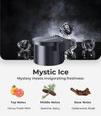 Car Air Freshener Refill - Pack of 2, Can be Used for 4~6 Months - Made with Natural Plant Extracts - Mystic Ice