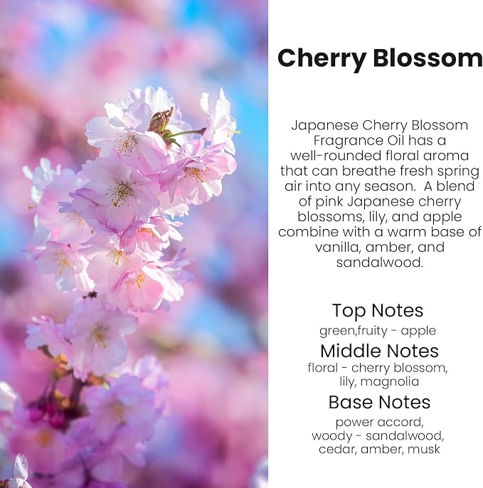 Car Air Freshener Diffuser 2 Pack Hanging Cherry Bloom Car Air Freshener for Women 45+ days Long Lasting Fragrance Made in USA (C12)