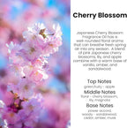 Car Air Freshener Diffuser 2 Pack Hanging Cherry Bloom Car Air Freshener for Women 45+ days Long Lasting Fragrance Made in USA (C12)