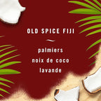 Odour-Fighting Auto Air Freshener, Car Vent Clip, Old Spice Fiji, 4ct