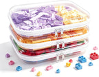 Clear Hard Plastic Zipper Case,Transparent Double Zippers Hard Pouch with 3pcs,Portable Travel Organizer Bin for Toy Storage
