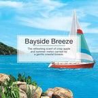 Cardboard Hanging Car, Home & Office Air Freshener, Bayside Breeze (Pack of 6)